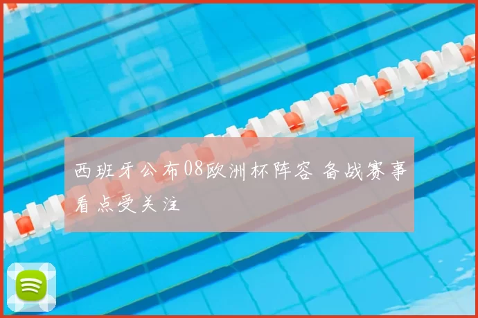 西班牙公布08欧洲杯阵容 备战赛事看点受关注