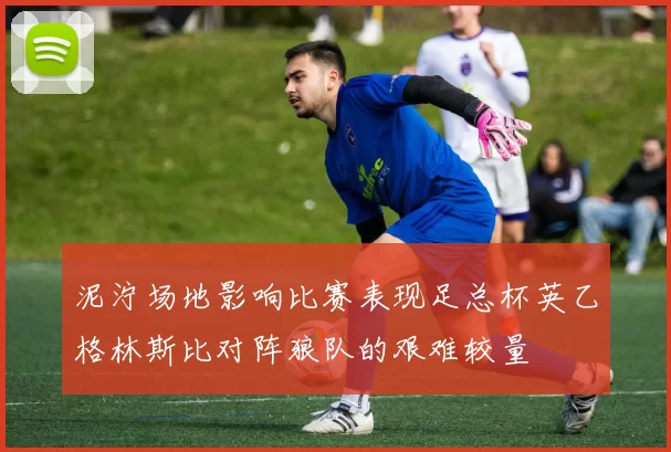 泥泞场地影响比赛表现足总杯英乙格林斯比对阵狼队的艰难较量