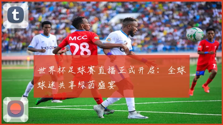 世界杯足球赛直播正式开启:全球球迷共享绿茵盛宴