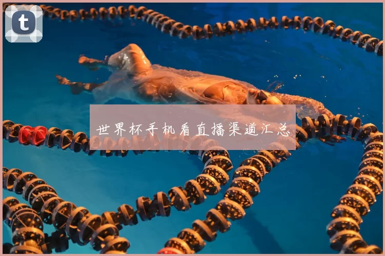 世界杯手机看直播渠道汇总