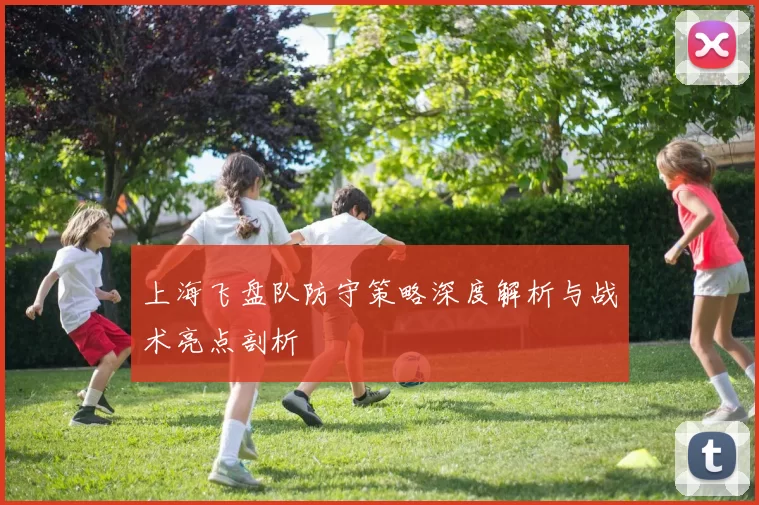上海飞盘队防守策略深度解析与战术亮点剖析