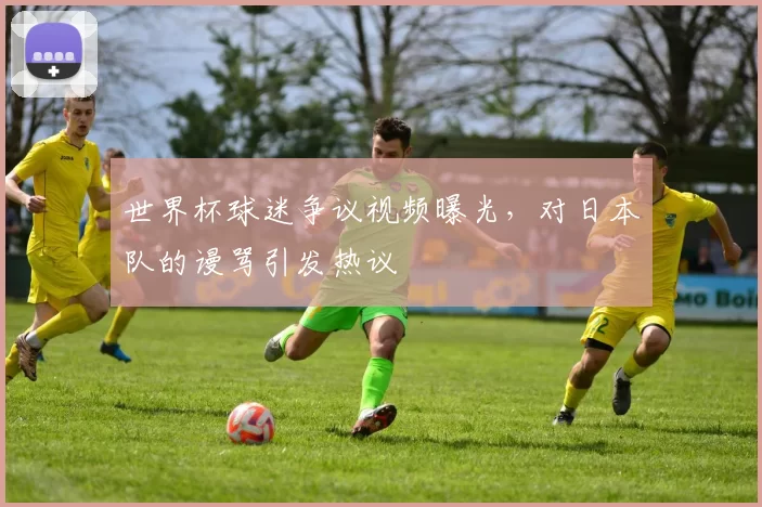 世界杯球迷争议视频曝光,对日本队的谩骂引发热议