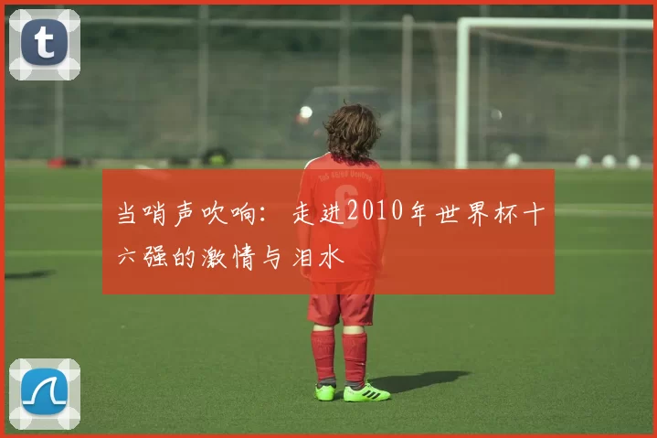 当哨声吹响:走进2010年世界杯十六强的激情与泪水