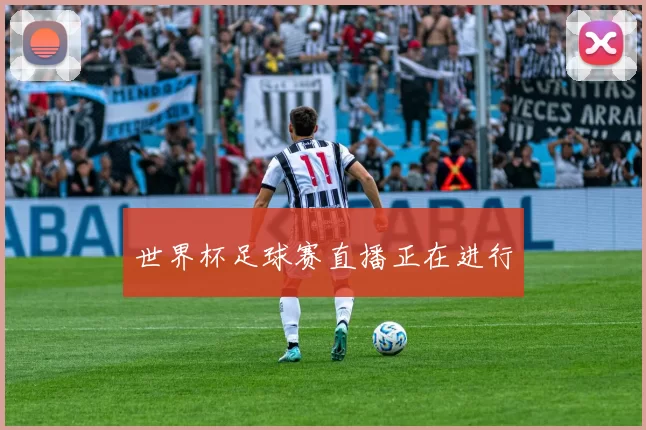 世界杯足球赛直播正在进行