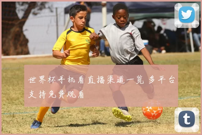 世界杯手机看直播渠道一览 多平台支持免费观看