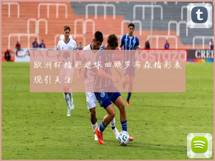 欧洲杯精彩进球回顾罗布森精彩表现引关注