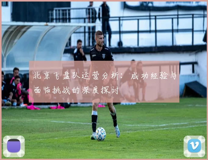 北京飞盘队运营分析:成功经验与面临挑战的深度探讨