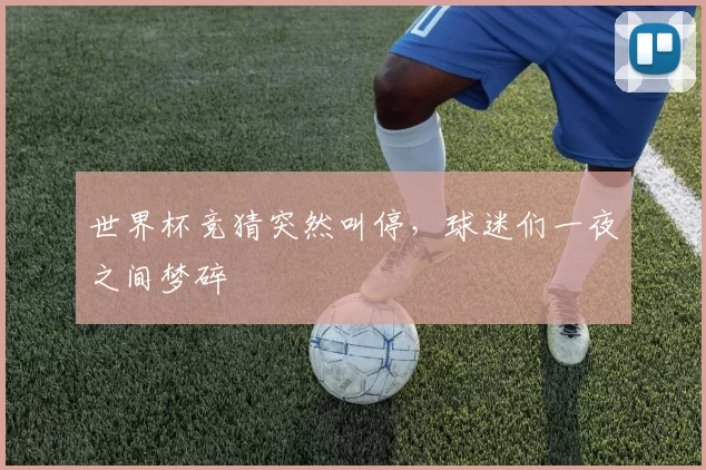 世界杯竞猜突然叫停,球迷们一夜之间梦碎