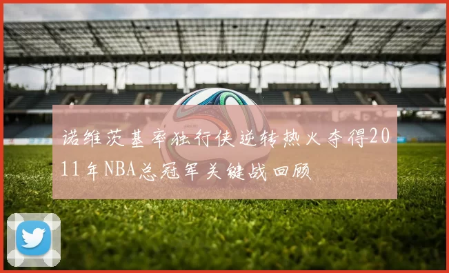 诺维茨基率独行侠逆转热火夺得2011年NBA总冠军关键战回顾