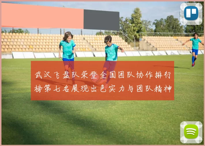 武汉飞盘队荣登全国团队协作排行榜第七名展现出色实力与团队精神