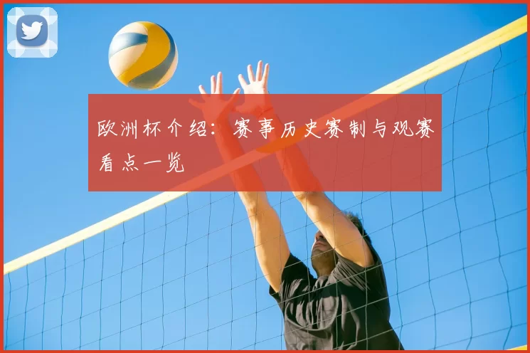 欧洲杯介绍:赛事历史赛制与观赛看点一览