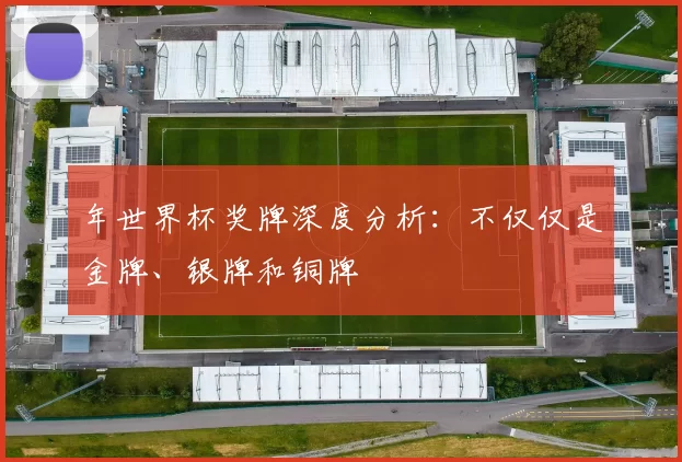 年世界杯奖牌深度分析：不仅仅是金牌、银牌和铜牌