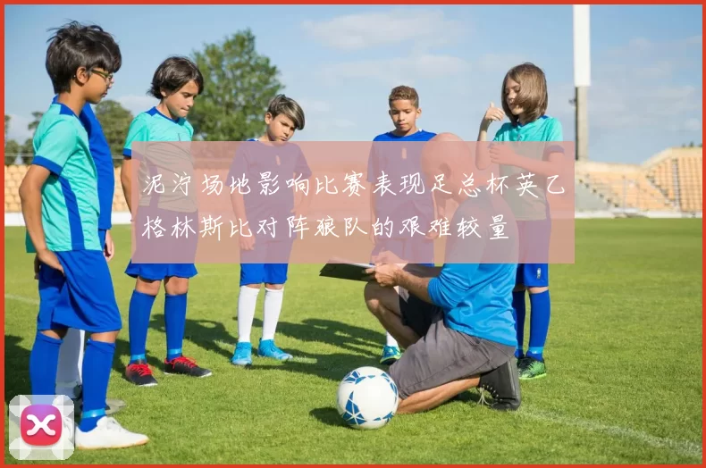 泥泞场地影响比赛表现足总杯英乙格林斯比对阵狼队的艰难较量