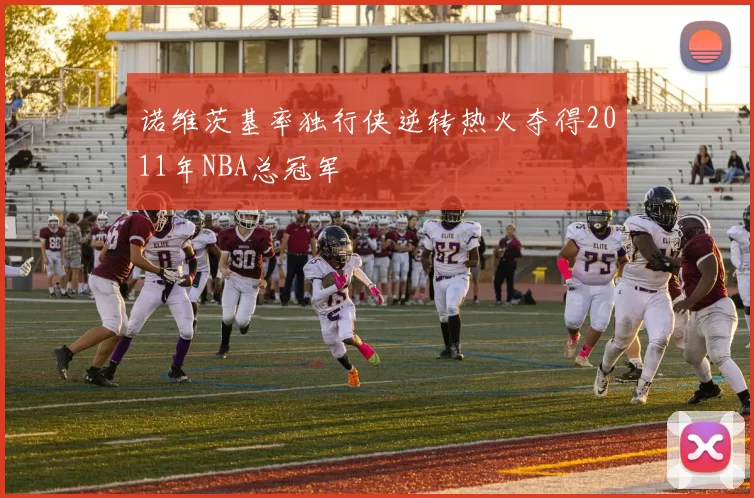 诺维茨基率独行侠逆转热火夺得2011年NBA总冠军
