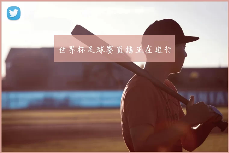 世界杯足球赛直播正在进行