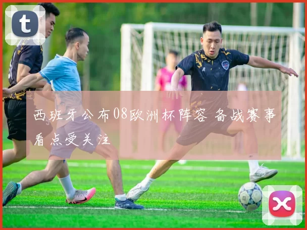 西班牙公布08欧洲杯阵容 备战赛事看点受关注