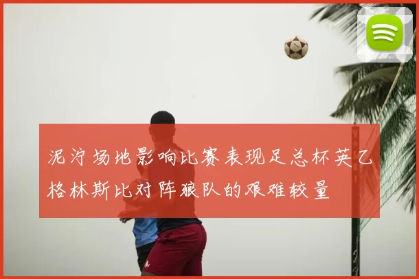 泥泞场地影响比赛表现足总杯英乙格林斯比对阵狼队的艰难较量