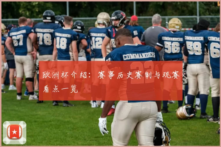 欧洲杯介绍:赛事历史赛制与观赛看点一览