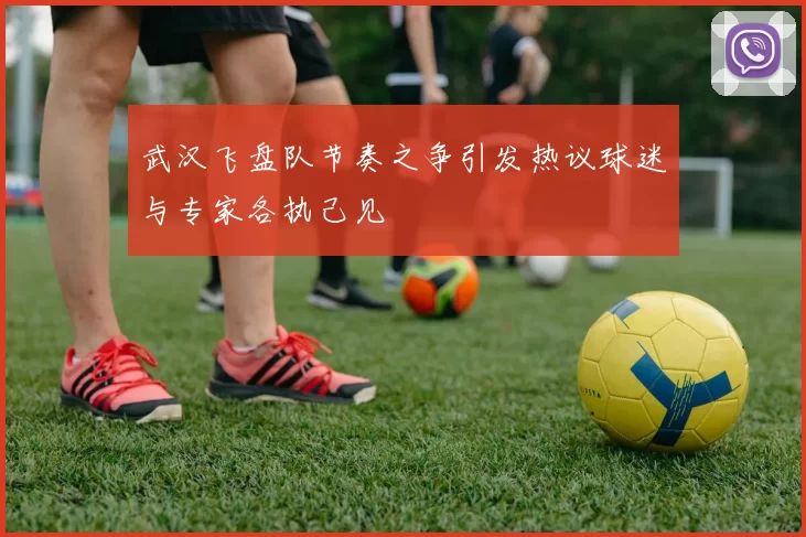 武汉飞盘队节奏之争引发热议球迷与专家各执己见