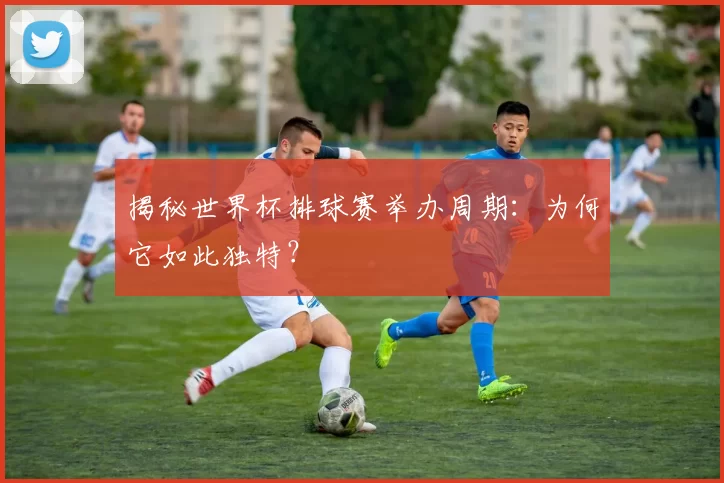 揭秘世界杯排球赛举办周期：为何它如此独特？