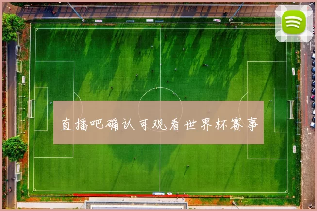 直播吧确认可观看世界杯赛事