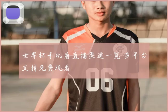 世界杯手机看直播渠道一览 多平台支持免费观看