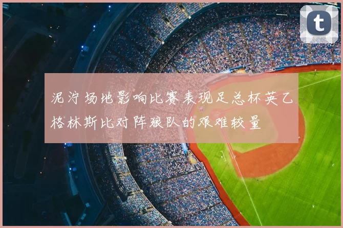 泥泞场地影响比赛表现足总杯英乙格林斯比对阵狼队的艰难较量