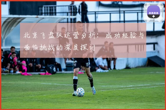 北京飞盘队运营分析:成功经验与面临挑战的深度探讨