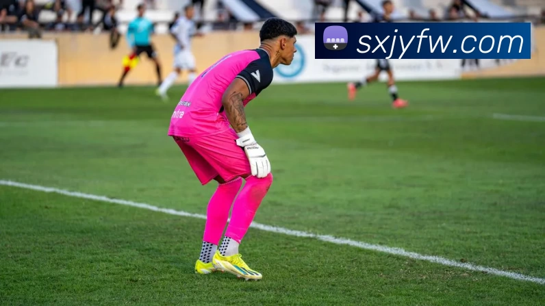 博亚体育发展历程