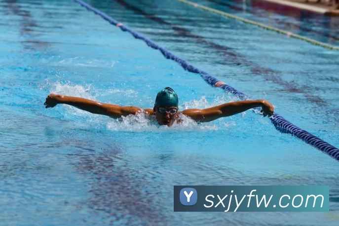 CBA外围盘口波动背后的球队实力评估与投注市场反应